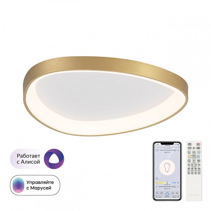 Накладной светильник Citilux GENKA SMART CL756A142