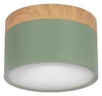 Накладной светильник Loft it Grape 10162 Green