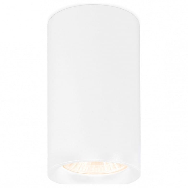 Накладной светильник Ambrella Light TN TN213133