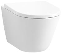 Подвесной унитаз Jacob Delafon Bastille EDAS102-00