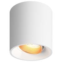 Накладной светильник Denkirs DK3040 DK3090-WBR