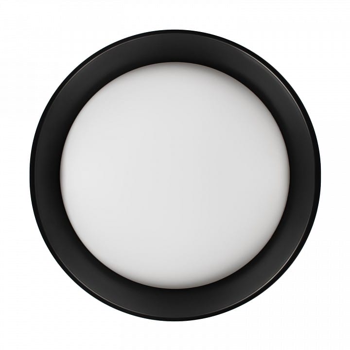 Накладной светильник Loft it Coin 10202 BB