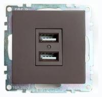 Розетка USB без рамки Stekker Катрин 49027