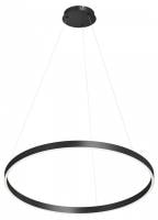 Подвесной светильник Denkirs RAYDIA DK6273-BK