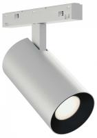 Светильник на штанге ST-Luce SKYLINE 48+ ST3365.546.15_SH_R