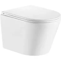 Унитаз подвесной GID Tr2130 безободковый, с сиденьем микролифт, белый