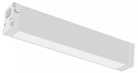 Накладной светильник Lightstar Teta CCT 205216CCT
