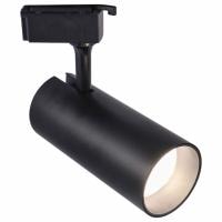 Светильник на штанге Эра TR5-30 COB BK