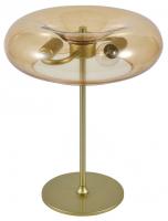 Настольная лампа декоративная Indigo Leggero 11062/2T Amber