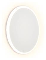 Накладной светильник Ambrella Light FW FW103