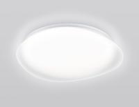 Накладной светильник Ambrella Light ORBITAL FZ1610