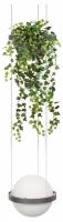 Подвесной светильник Loft it Jardin 10121/1P Dark grey