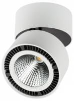 Накладной светильник Lightstar Forte Muro 213830