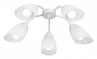 Потолочная люстра Vitaluce V31950 V31950/5PL