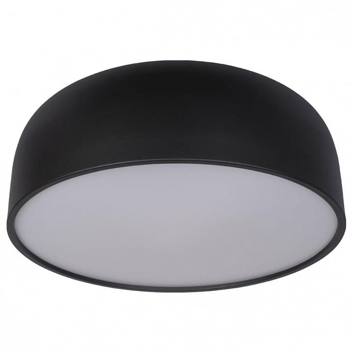 Накладной светильник Loft it Axel 10201/480 Black