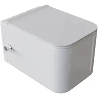 Унитаз подвесной Boheme Mane 970-SET-2-W безободковый, с функцией биде, с сиденьем микролифт, белый