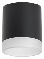 Накладной светильник Lightstar Rullo R348780