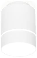 Накладной светильник Ambrella Light TN TN255