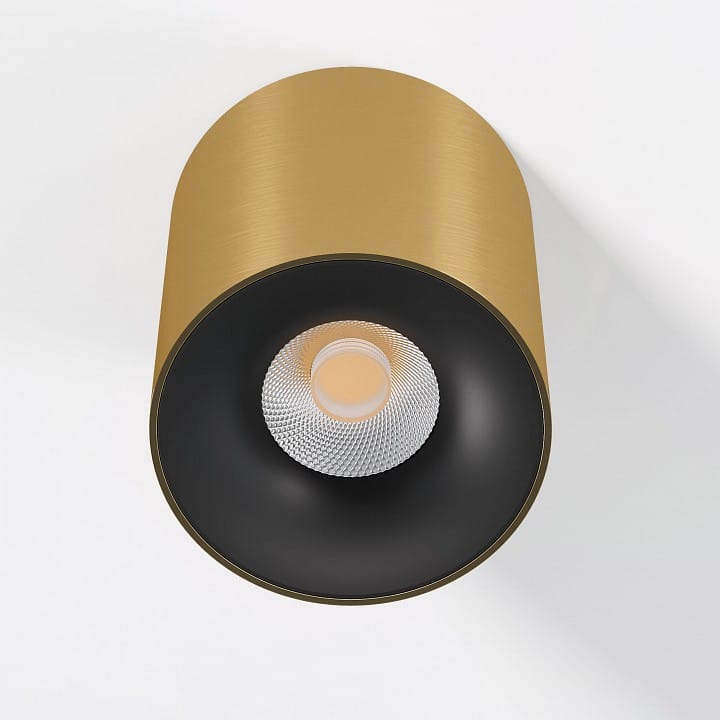 Накладной светильник Elektrostandard Primo 25116/LED