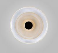 Накладной светильник Aployt Stusia APL.350.01.03