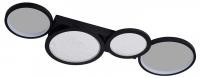 Накладной светильник Favourite Neumel 4700-4C