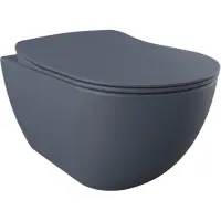 Унитаз подвесной Creavit Free FE322-00BM00E-0000 безободковый, с функцией биде, базальт матовый