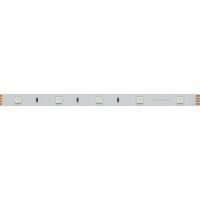 Лента светодиодная Arlight  022066(2)