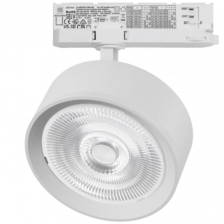 Светильник на штанге Lightstar Alta Pro A5746QT60G