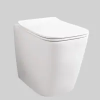 Унитаз приставной Artceram A16 ASV007 05 00 безободковый, торнадо, белый матовый