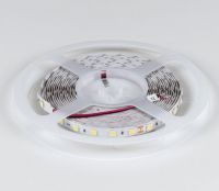 Лента светодиодная DesignLed DSG560 00-00000520