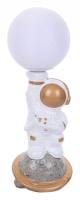 Настольная лампа декоративная Lumion Atlas 8207/1T