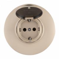 Розетка с заземлением и шторкой, с крышкой Arte Milano SET08-1 SET08-1-41-1 shampan