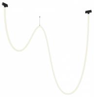 Подвесной светильник Maytoni Technical Тау TR101-2-100W4K-B