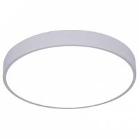 Накладной светильник Arte Lamp Arena A2661PL-1WH