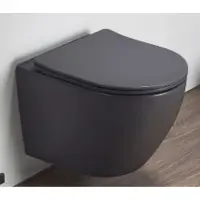 Унитаз подвесной CeramaLux TR2197MDH безободковый, торнадо, с сиденьем микролифт, серый матовый