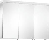 Зеркальный шкаф Keuco Royal Reflex 100 24204171301 серебристый анодированный