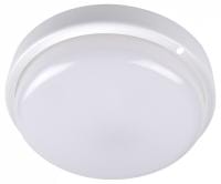 Накладной светильник Jazzway  ДПО-1044 15w 4000K IP54