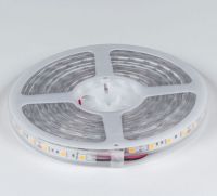 Лента светодиодная DesignLed DSG560 00-00000519