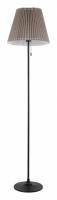 Торшер Lussole Greene LSP-0572