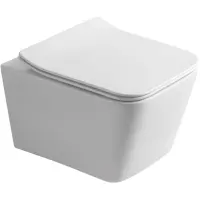 Унитаз подвесной Olive’S Porto PR30116DP безободковый, с сиденьем микролифт, белый