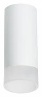Накладной светильник Lightstar Rullo R648681