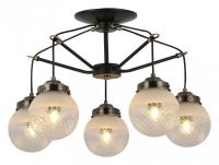 Люстра на штанге EVOLUCE Stricce SLE110302-05