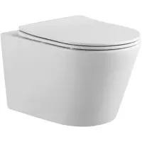 Унитаз подвесной Aquatek Вега AQ1905-MW безободковый, с сиденьем микролифт, белый матовый