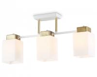 Люстра на штанге Ambrella Light TR TR303045