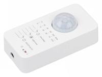 Контроллер лестничный Arlight INTELLIGENT 046484