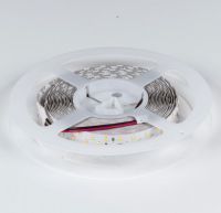Лента светодиодная DesignLed DSG2252 00-00001493