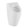 Писсуар Villeroy&Boch Architectura 55860501