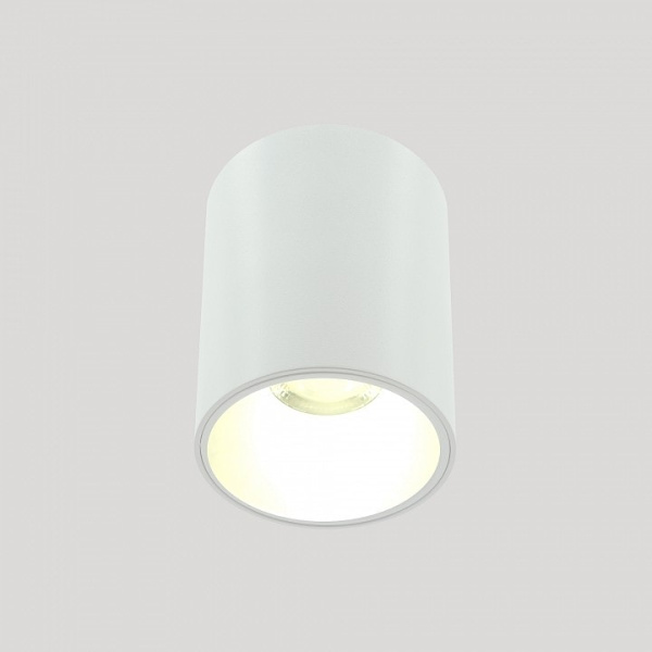 Накладной светильник LIGHTERA Shamrock LE200CL-1W