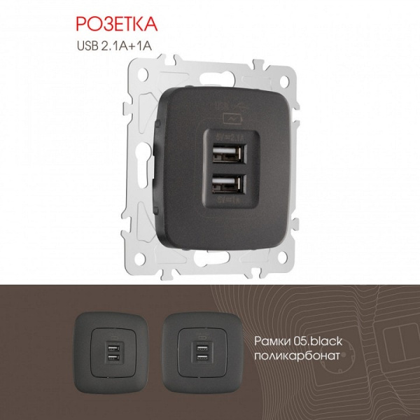 Розетка USB без рамки Arte Milano am-205 205.46-1.black