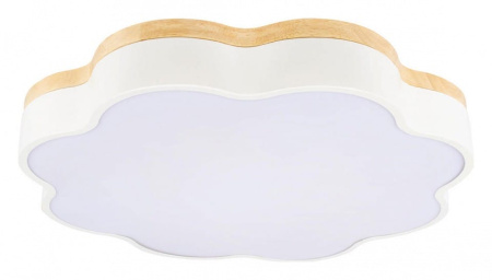 Накладной светильник Loft it Axel 10225/36 White